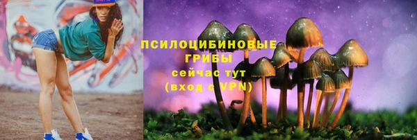 стафф Алексеевка