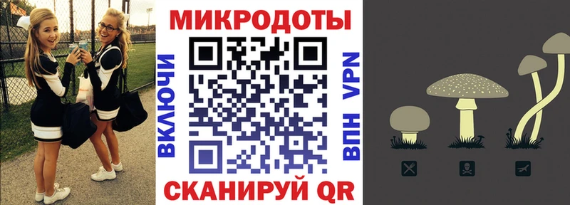 Псилоцибиновые грибы мицелий  Рошаль 